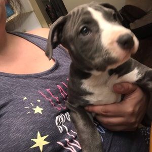 Meet your Posher, Kali